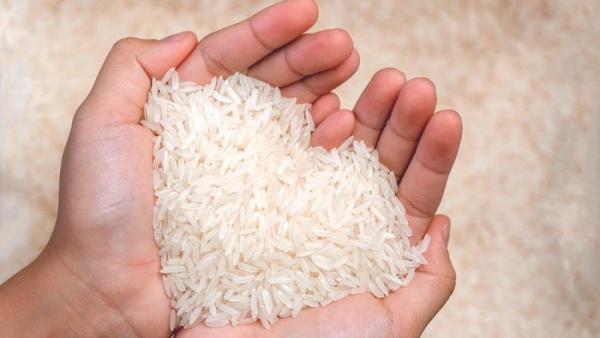 Akhir Bulan Juni Pemerintah Bagikan Bansos Beras ke Masyarakat! Anggaran Rp 4,9 Triliun Dikeluarkan