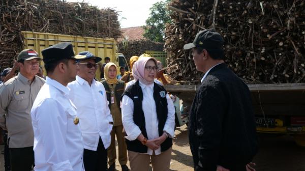 Pemerintah Pusat Dukung Pengembangan Tebu Rakyat di Lumajang