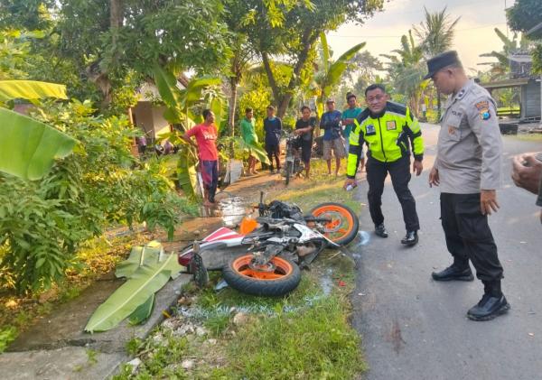 Tabrakan Honda CBR vs Truk di Bojonegoro, Pengendara Motor Meninggal Dunia di TKP