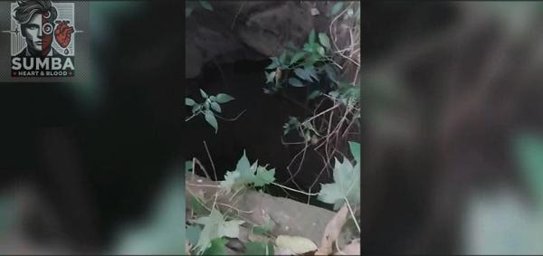 Ini Kronologi Lengkap Penemuan Tulang Belulang Bayi di Sumur Tua Lamenggit, Kota Waingapu