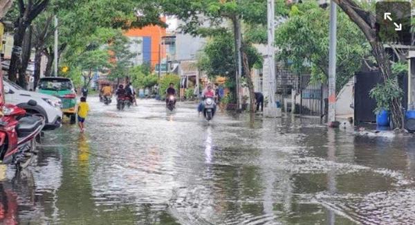 Banjir Luapan Kali Lamong di Gresik Surut Bertahap, Ratusan Hektare Sawah Masih Terendam