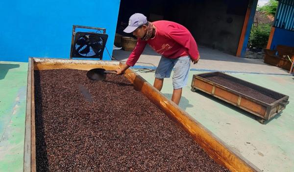 Rahasia di Balik Cangkir Kopi Rembang yang Menggebrak Pasar Nasional