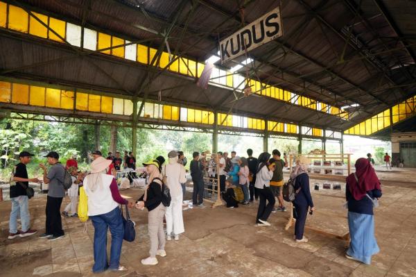 Mengenal SJS, Kereta Api Trem Legendaris Belanda yang Pernah Hidup di Kudus