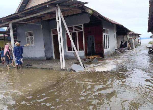 Halmahera Selatan Darurat: Banjir-Longsor Paksa Ribuan Warga Mengungsi, Jembatan Amblas