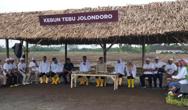 Momen Wapres Gibran Panen Tebu di Banyuwangi, Dorong Swasembada Gula Nasional 2026