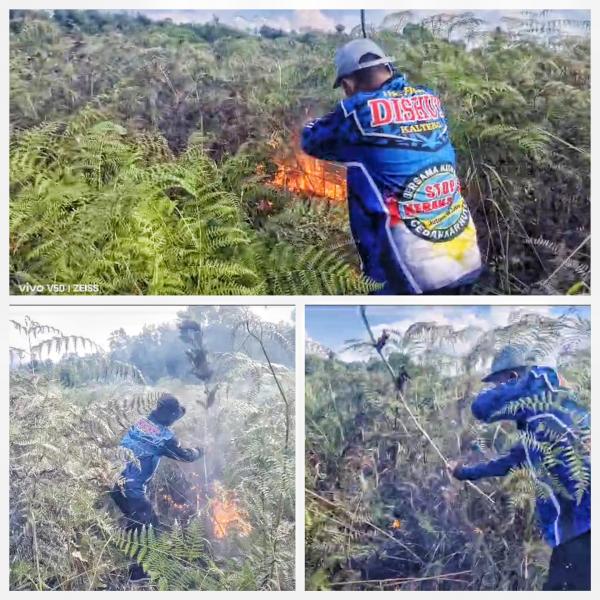 Kebakaran Lahan 2 Hektare di Mantangai Kapuas Berhasil Dipadamkan, Petugas Hadapi Kendala Berat