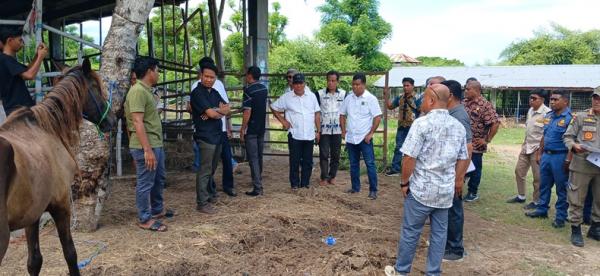 Pansus DPRD Sumba Timur Rekomendasikan Satgas Ternak, Larang Sementara Pengiriman Kuda Betina