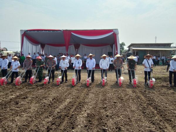 Imigrasi dan Polresta Sidoarjo Tanam Jagung di Prambon, Dukung Ketahanan Pangan Nasional