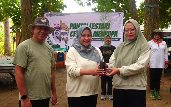 Pantai Lestari Cemara Menyapa, Pemkab Lumajang Tanam 100 Bibit Cemara Laut di Pesisir Pantai Selatan