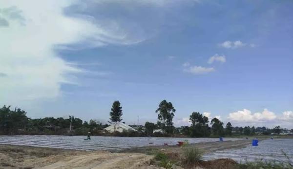 Kotawaringin Barat Siap Menjadi Tuan Rumah Pekan Daerah Petani Nelayan XIV Tingkat Kalteng