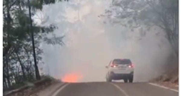 Karhutla Landa Menara Pandang Tele, 50 Hektare Lahan Terbakar