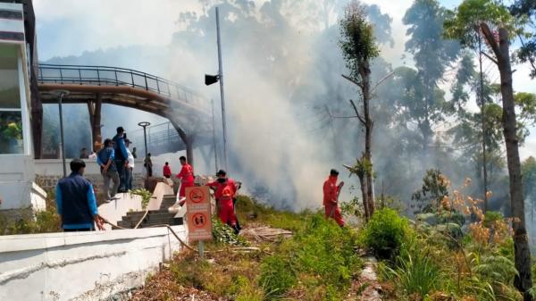 Kebakaran Hutan 50 Hektare di Menara Pandang Tele Samosir Jadi Ujian Berat Jelang Penilaian UNESCO