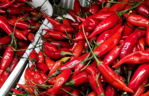 Harga Cabai Rawit Merah di Jatim Capai Rp75.000, Tulungagung Paling Murah Kedua