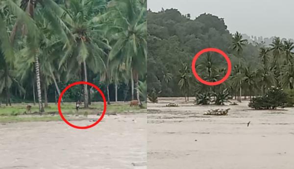 Detik-detik Warga Terjebak Banjir di Sinjai, Panjat Pohon Kelapa untuk Selamatkan Diri