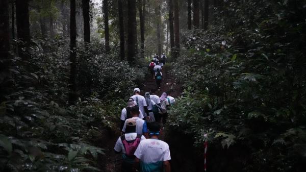 293 Pelari Ramaikan D’Las Trail Run 2025, Kolaborasi Olahraga dan Wisata Alam di Kaki Gunung Slamet