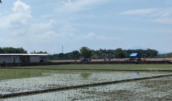 Beda Perlakuan Pemkab Madiun Terhadap Pembangunan Tower dan Pabrik Mainan, Aktivis: Potensi Tipikor!