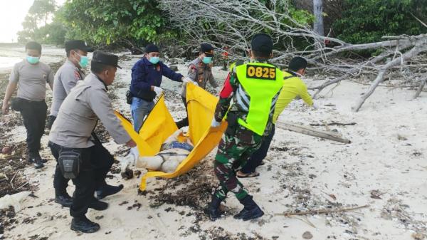 Mayat Perempuan Ditemukan di Alas Purwo, Diduga Korban KMP Tunu yang Tenggelam di Selat Bali
