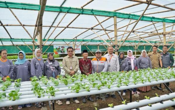 Ciptakan Inovasi Greenhouse Hidroponik, Wujudkan Program Ketahanan Pangan Desa