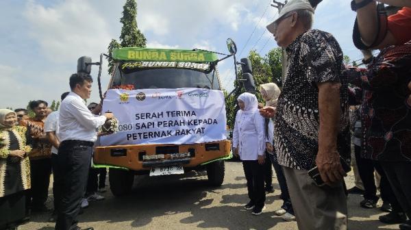 Swasembada Susu 2029 Terancam, Premanisme dan Perizinan Jadi Penghalang Utama