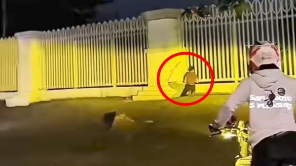 Viral Video Dugaan Mesum di Stadion Pakansari Bogor, Satpol PP Sebut Hoax dan Konten Semata
