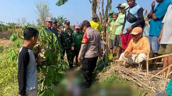 Warga Sukosewu Bojonegoro Ditemukan Meninggal di Sawah, Ini Dugaan Penyebabnnya