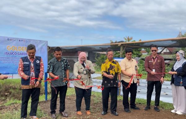 GOLDEN, Inovasi Mahasiswa UMP untuk Tangani Hiperglikemia dengan Tanaman Herbal