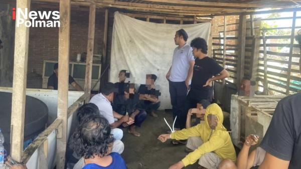 Penggerebekan di BTN Yosi, Polisi Ringkus 12 Pelaku Perjudian Ayam Bangkok dan Sita Rp16 Juta