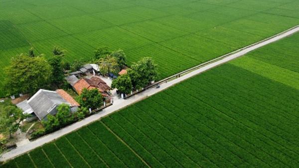 Begini Strategi Pemkab Bekasi Kendalikan Tata Ruang Lindungi Lahan Pertanian