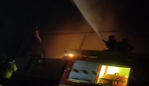 Viral, Damkar Kabupaten Bandung Semprot Pohon Besar untuk Usir Pocong