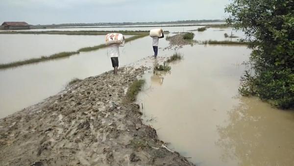 Kuwu Kertawinangun: Jalan Rusak ke Tambak Garam Bukan Tanggung Jawab Desa
