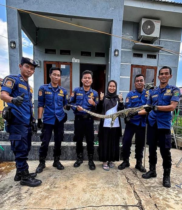 Damkar Barito Selatan Evakuasi Biawak Besar dari Permukiman Warga