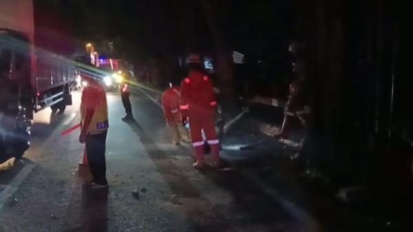 Tertimpa Pohon Besar Tumbang di Jalan Jombang, Pengendara Satria Terkapar Luka Parah