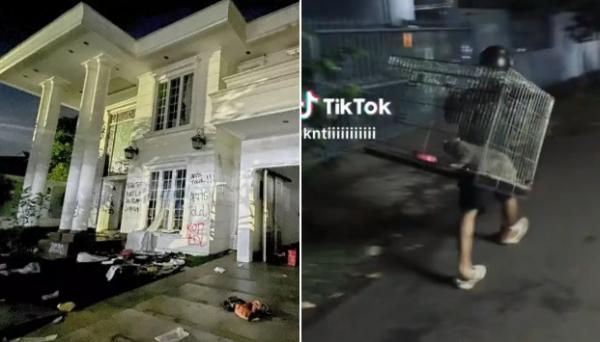 Kucingan Kesayangan Harga Fantastis Ikut Dijarah Massa, Uya Kuya Merasa Sedih