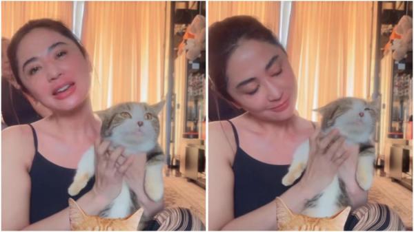 Dewi Perssik Banjir Pujian Berkat Rawat Kucing Eko Patrio