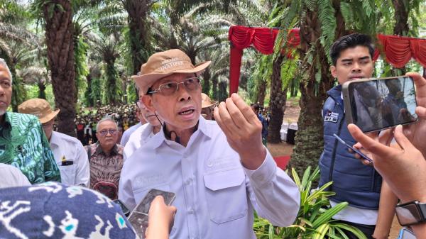Eks Jenderal Kopassus Turun Tangan, Berantas Mafia Sawit
