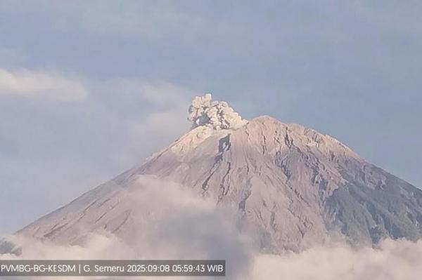 Beruntun hingga 7 Kali, Gunung Semeru Erupsi