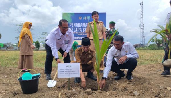 Dukung Ketahanan Pangan, Rutan Pangkep Tanam 200 Bibit Kelapa