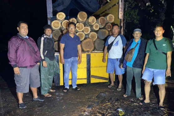 Polisi Amankan 51 Batang Kayu Jati Ilegal di Banyuwangi, Pelaku Pasrah Ditangkap Aparat