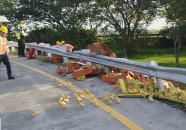 Truk Boks Muatan Ribuan Anak Bebek Terguling di Tol Jombang Akibatkan 2 Luka, Begini Kronologinya