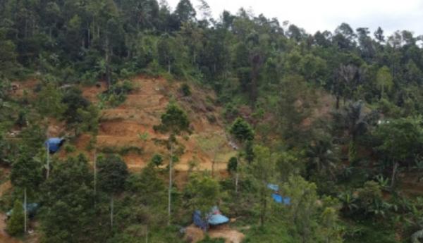 Warga Lebak Girang! Tambang Emas Bakal Dikelola Koperasi, Tak Perlu Lagi Menambang Ilegal