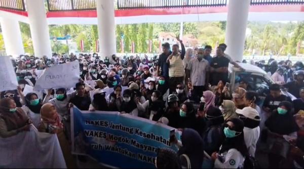 Ratusan Tenaga Honorer di Mamuju Desak Pemerintah untuk Angkat Jadi PPPK Paruh Waktu