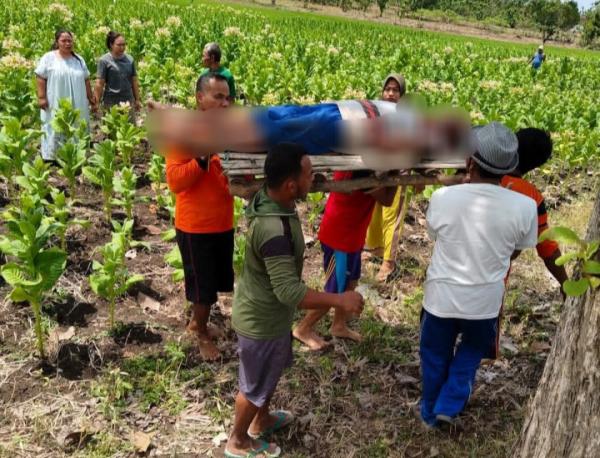 Tragis! Jebakan Tikus di Sawah Tewaskan Petani di Gayam Bojonegoro