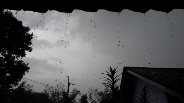 header img