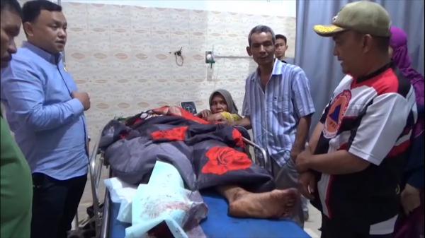 Mencekam! Warga Solok Selatan Jadi Mangsa Harimau Saat Menyadap Karet