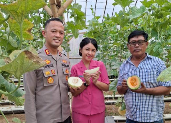 Gabe Farm, Surga Melon di Pringsewu yang Jadi Magnet Agrowisata Baru