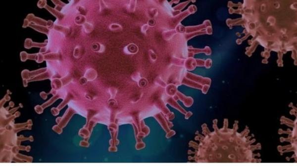 RSUD Pandega Pangandaran Imbau Warga Waspada Ancaman Virus Hanta