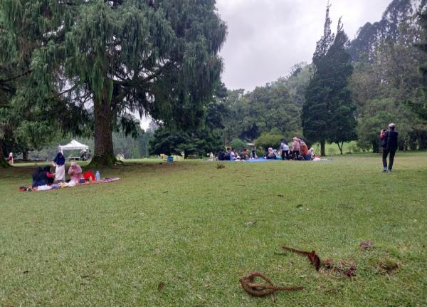 Pesona Liburan di Cianjur: Dari Keindahan Alam hingga Wisata Kuliner yang Bikin Rindu