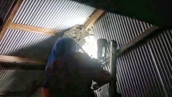 Sarang Tawon Vespa Dievakuasi Petugas Damkar Palangka Raya Usai Tawon Sengat Pemilik Rumah