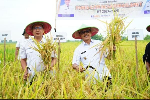 Pemkab Indramayu Siapkan Rp460 Juta untuk Program Asuransi Usaha Tani Padi
