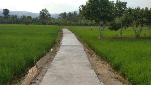 Pemprov Banten Kucurkan Rp5 Miliar untuk Bangun Jalan Usaha Tani 2,5 Km di Wanasalam